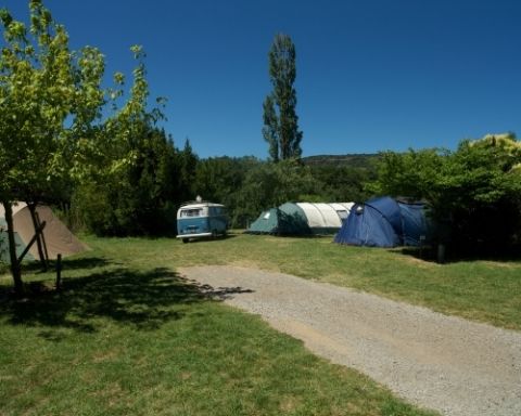 Rivierzijde - Zonovergoten veld met groen