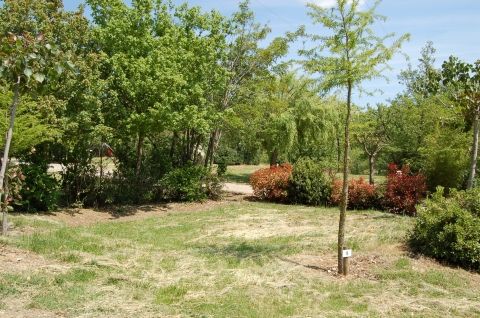 Location with hedges