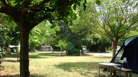 Semi-shaded pitches with plenty of space