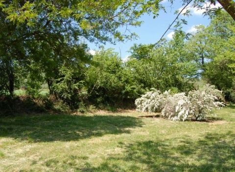 Semi-shaded pitch with plenty of greenery