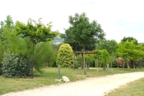 Large pitch with pergola