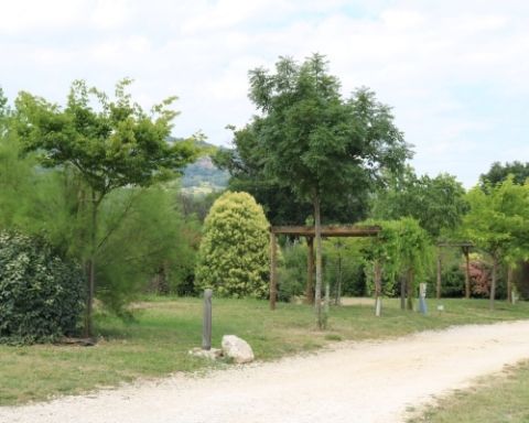 Bovenste deel - Staanplaatsen met veel groenten